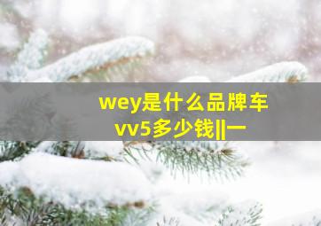 wey是什么品牌车vv5多少钱||一